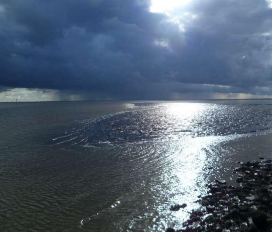 Wadlopen